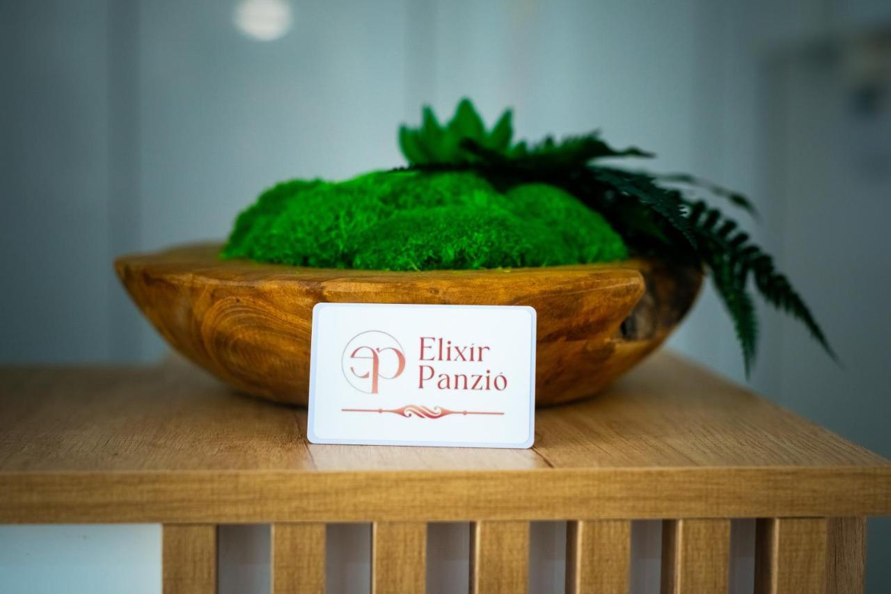 Bed and Breakfast Elixir Panzio Нірбатор Екстер'єр фото